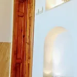 Time Traveling Sofia